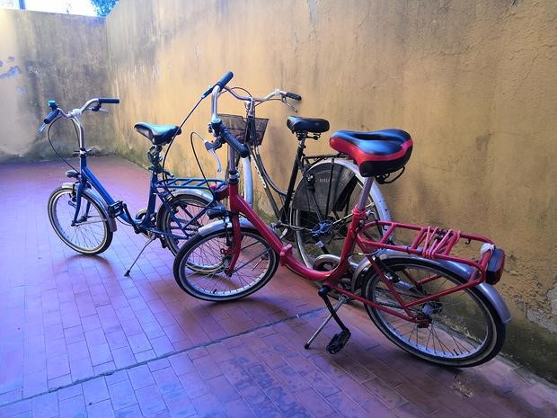 3 biciclette di cui 2 pieghevoli